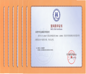 &#19990;&#30028;&#26479;&#24179;&#21488;&#45;&#19990;&#30028;&#26479;&#40;&#20013;&#22269;&#41;&#19968;&#31449;&#24335;&#26381;&#21153;&#24179;&#21488;